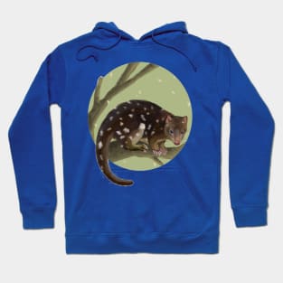 Quoll Hoodie